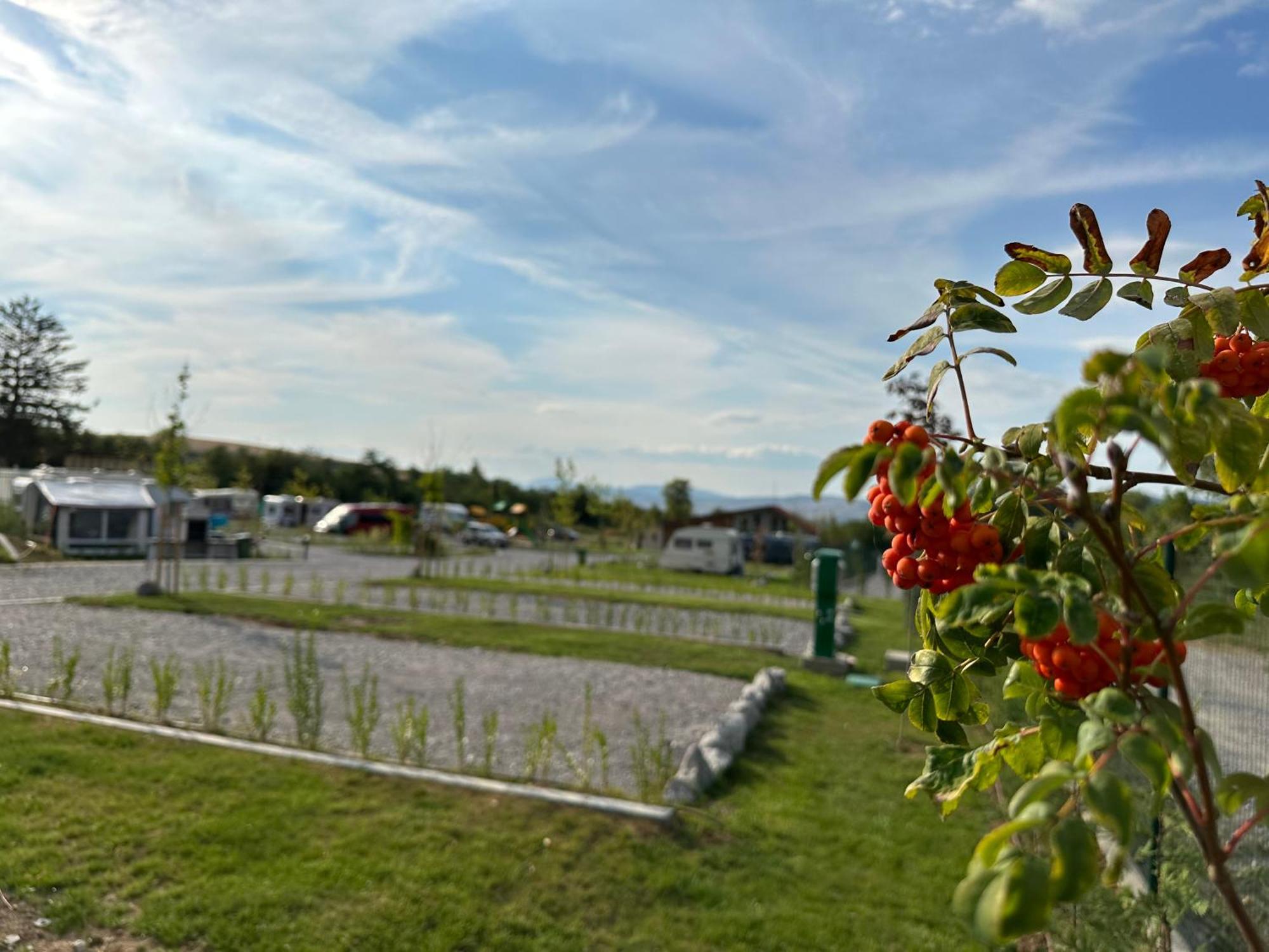 7 Lakes Camping Sapareva Banya Exterior photo