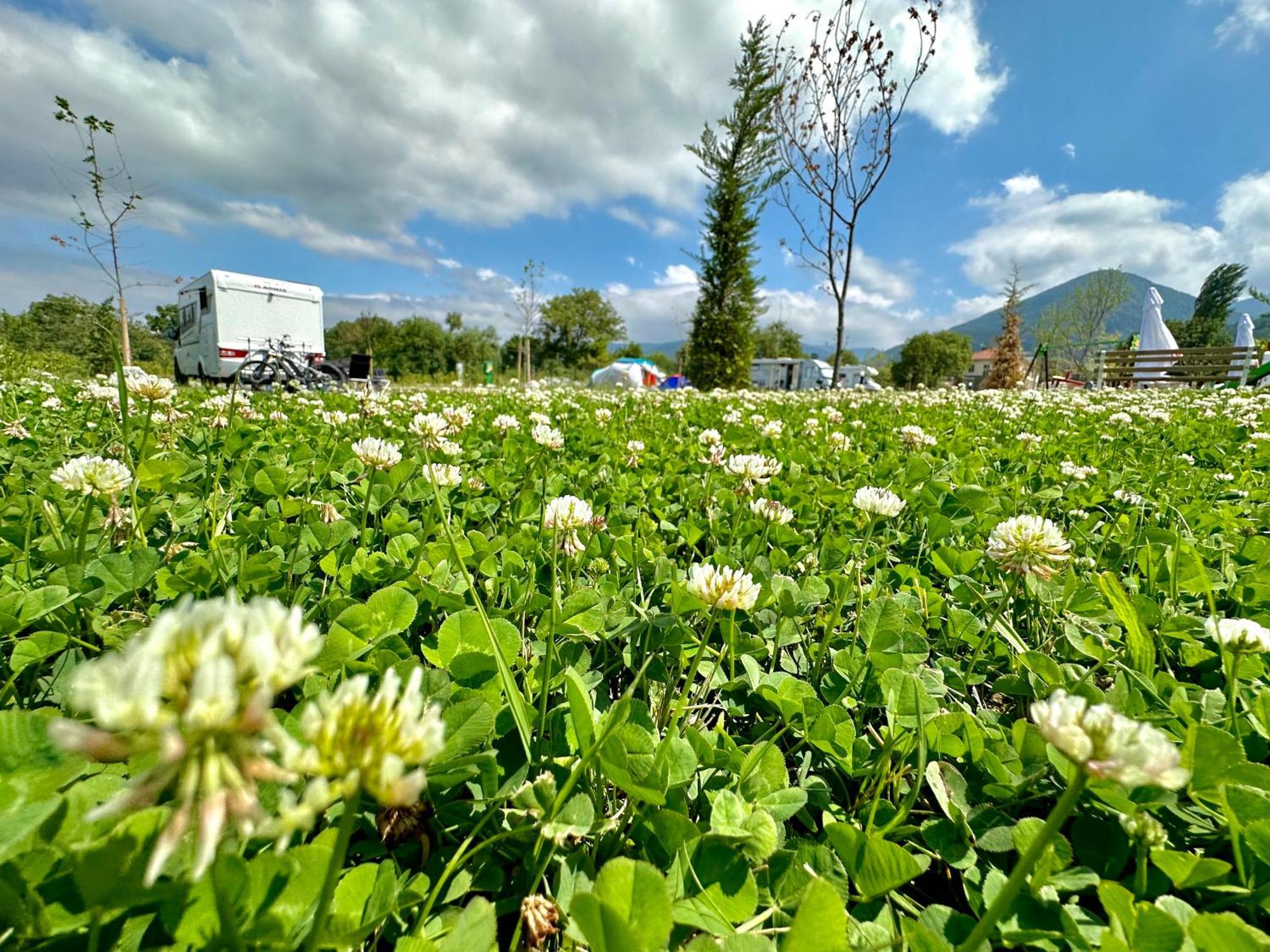 7 Lakes Camping Sapareva Banya Exterior photo